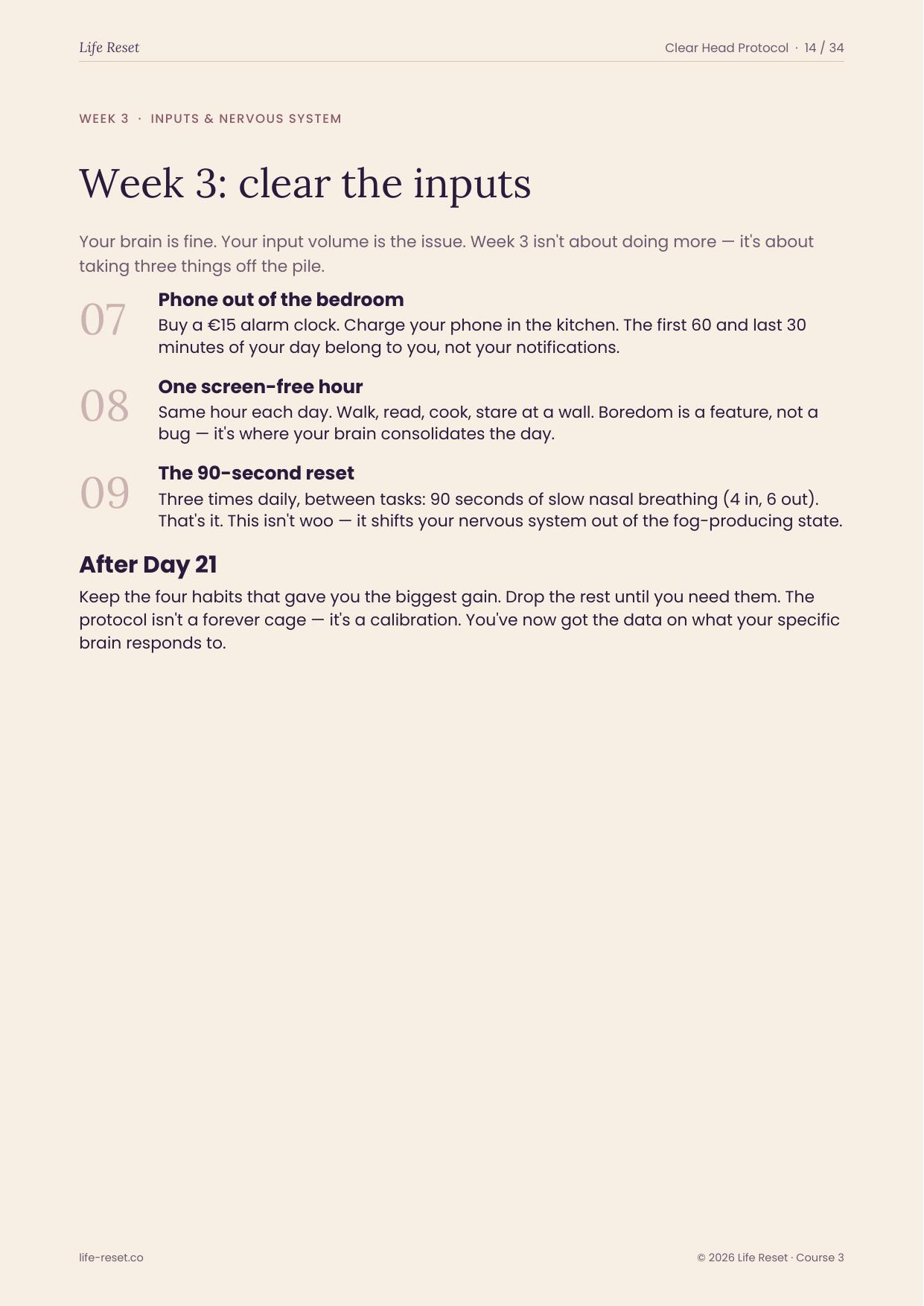 Clear Head Protocol preview page 2